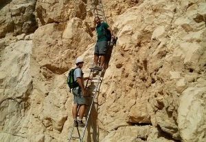 סולמות בנחל צפית ונחל תמר